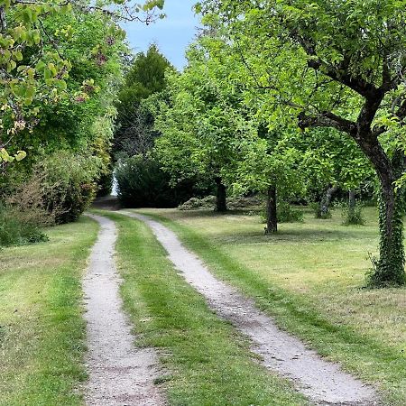 Les Jardins De L'Hermitage Cellettes  Exteriér fotografie
