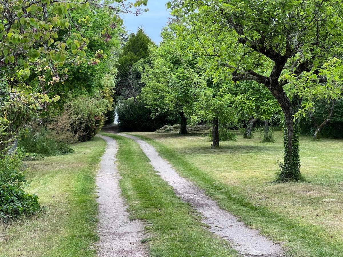 Les Jardins De L'Hermitage Cellettes  Exteriér fotografie